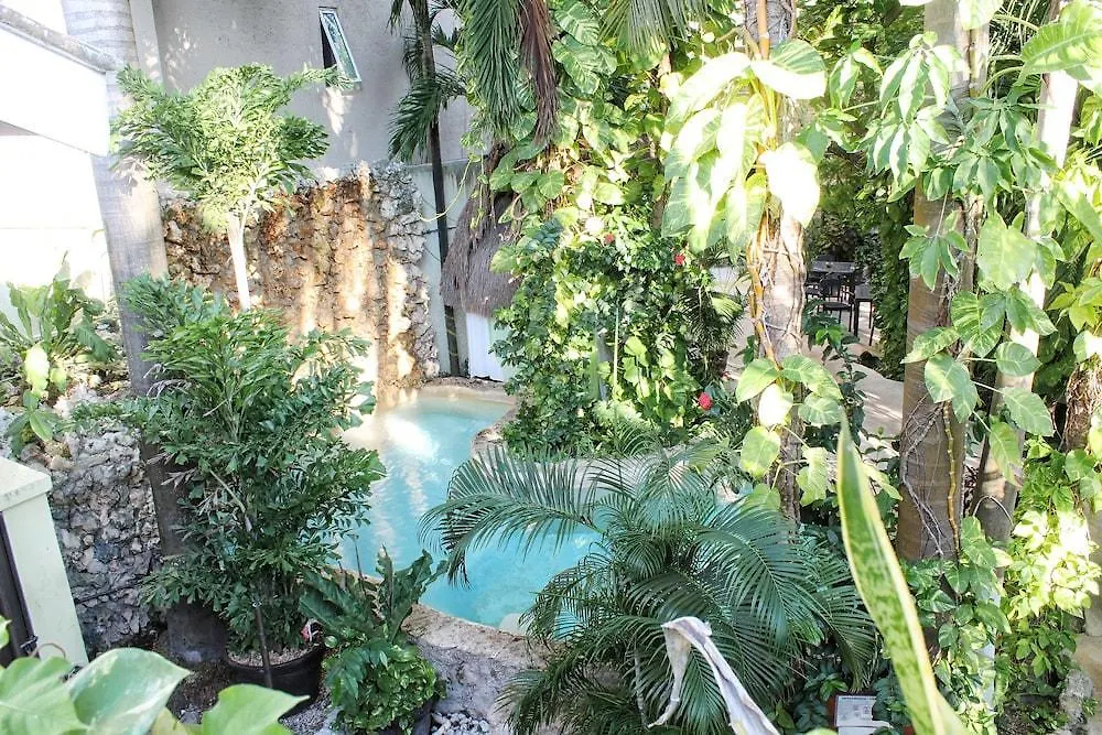 Hotel B&B - 5Th Avenue Playa del Carmen 5*,  Mexico