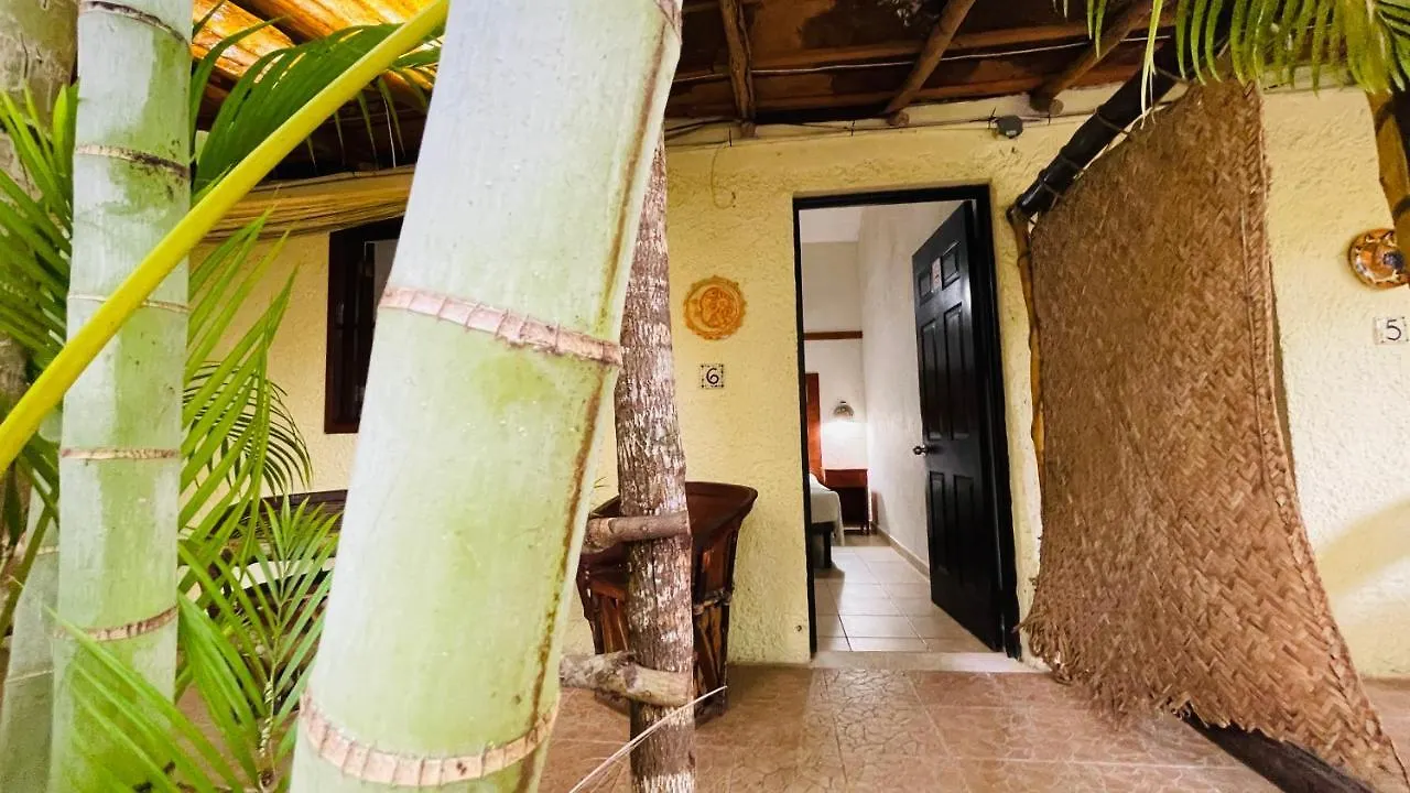 Hotel B&B - 5Th Avenue Playa del Carmen
