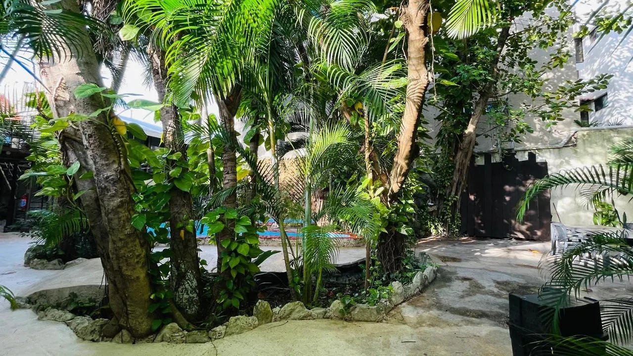 Hotel B&B - 5Th Avenue Playa del Carmen