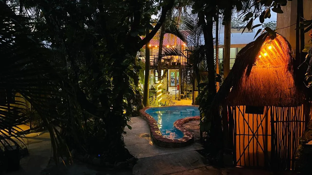 Hotel B&B - 5Th Avenue Playa del Carmen