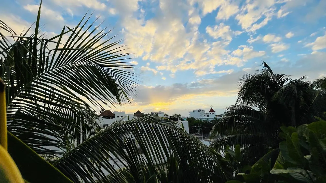Hotel B&B - 5Th Avenue Playa del Carmen Mexico