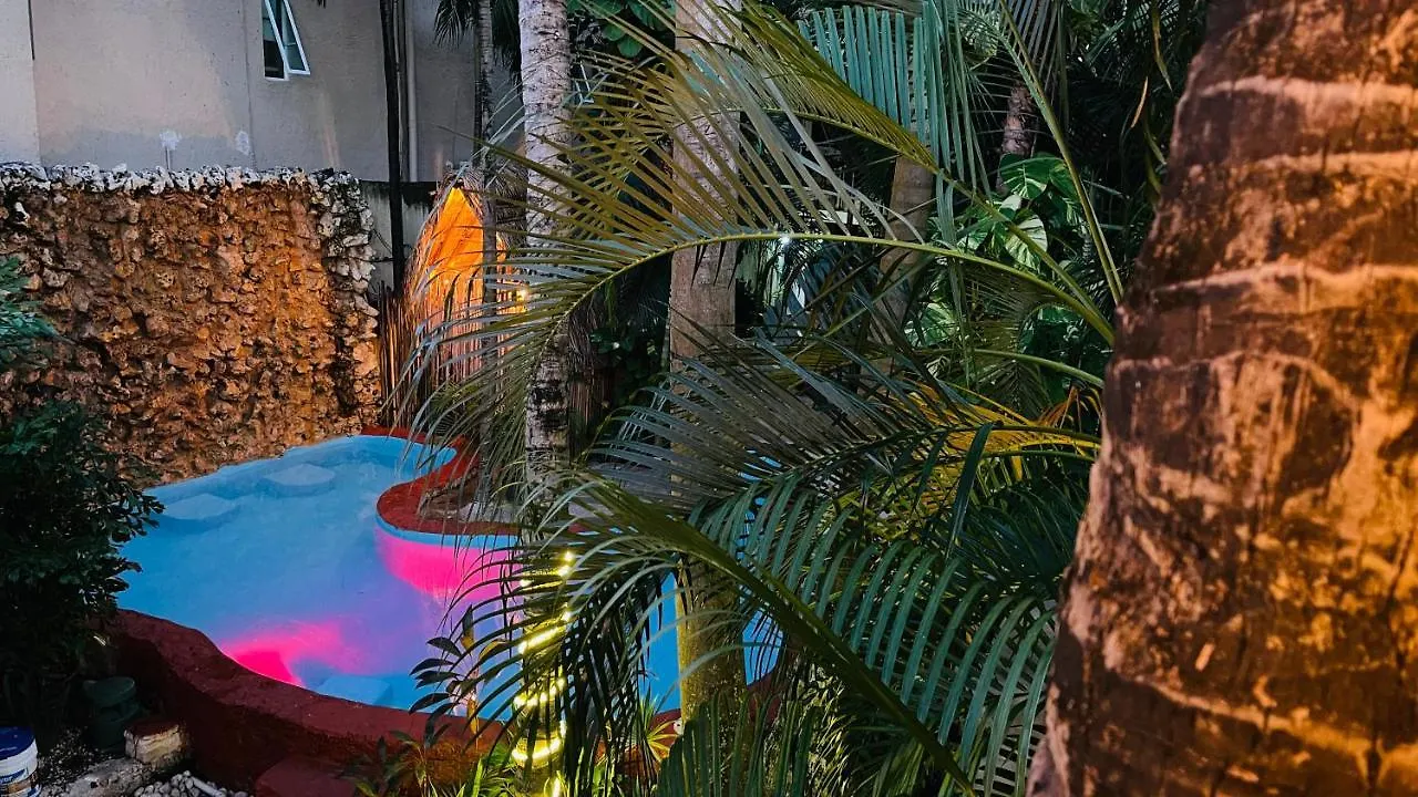 Hotel B&B - 5Th Avenue Playa del Carmen