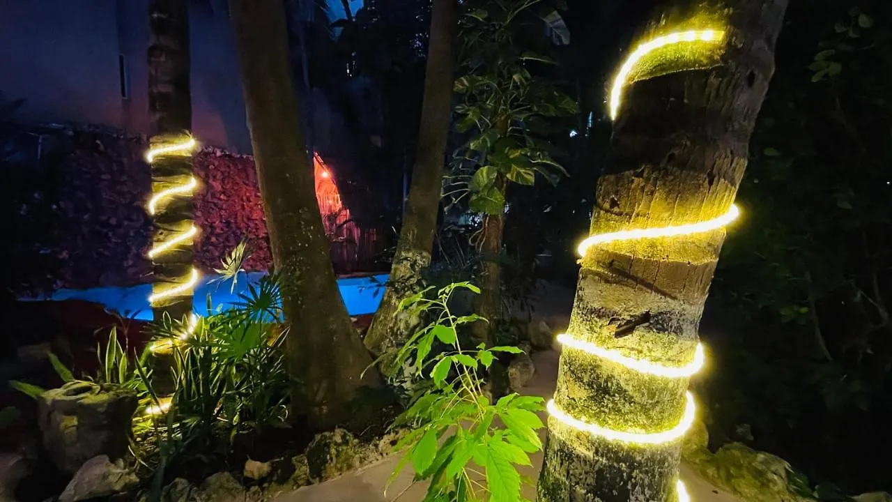 Hotel B&B - 5Th Avenue Playa del Carmen